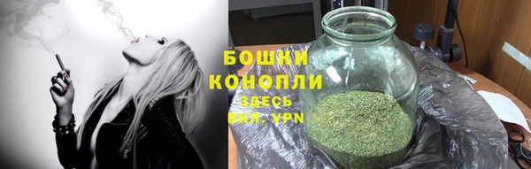 дурь Белокуриха