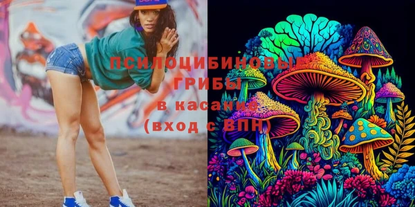 дурь Белокуриха